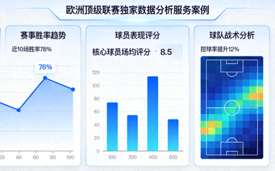 欧洲顶级联赛独家数据分析服务案例界面